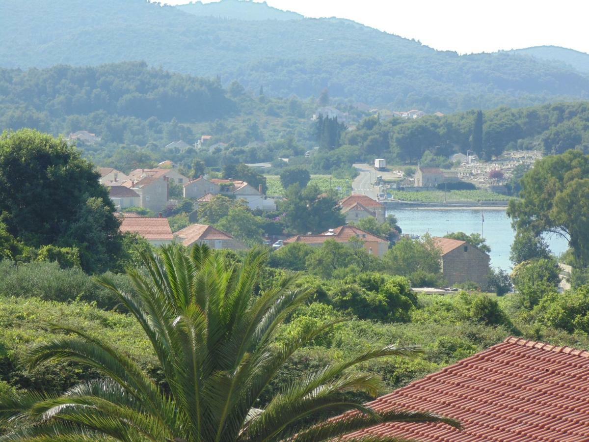 Stone House Apartments Didini Dvori Lumbarda Exterior photo